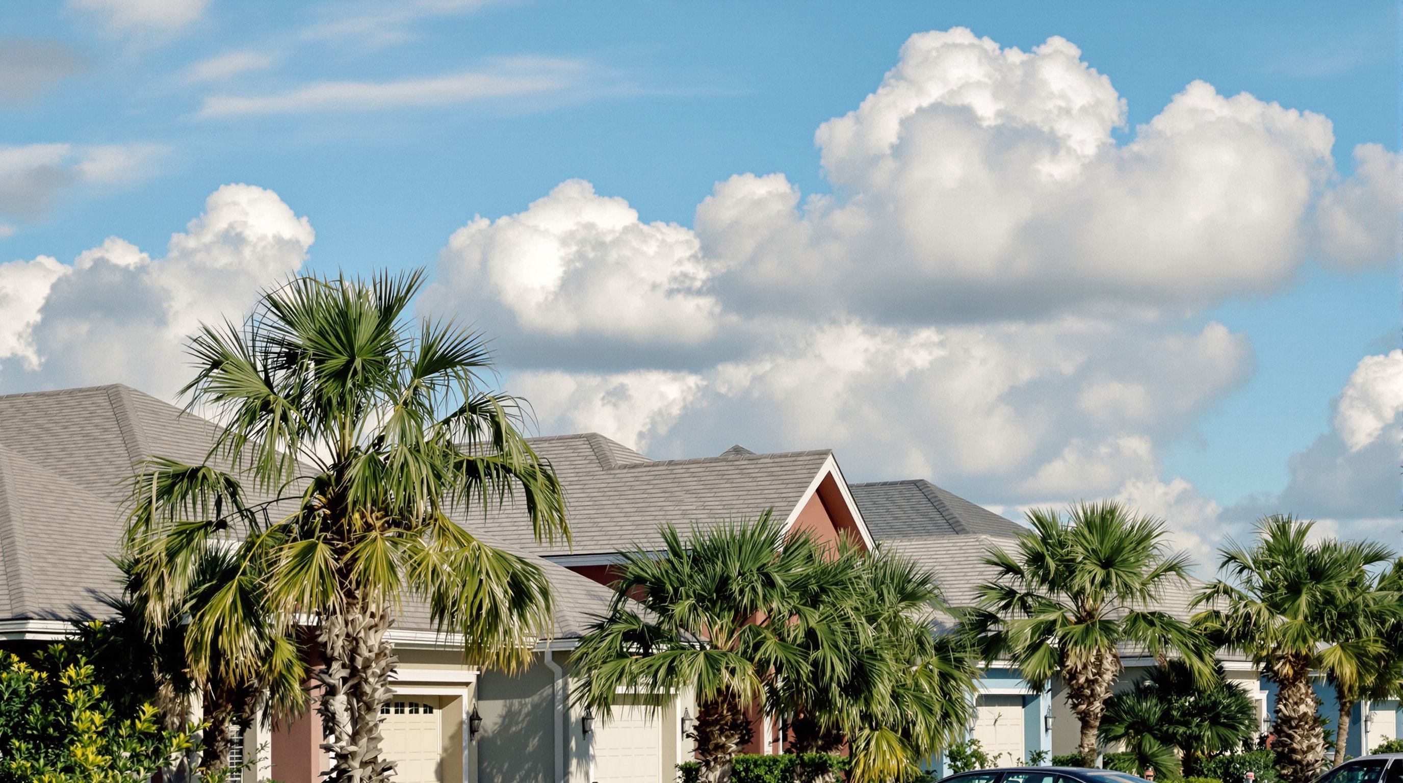 Florida houses with new shingle roofs under palm trees
